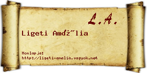 Ligeti Amália névjegykártya